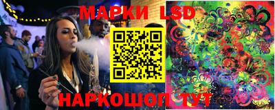 крисы Будённовск