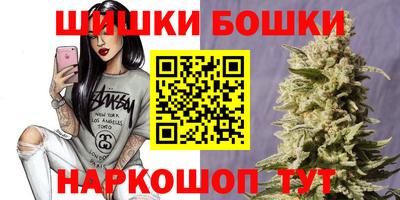 крисы Будённовск