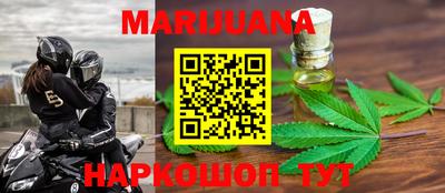 крисы Будённовск
