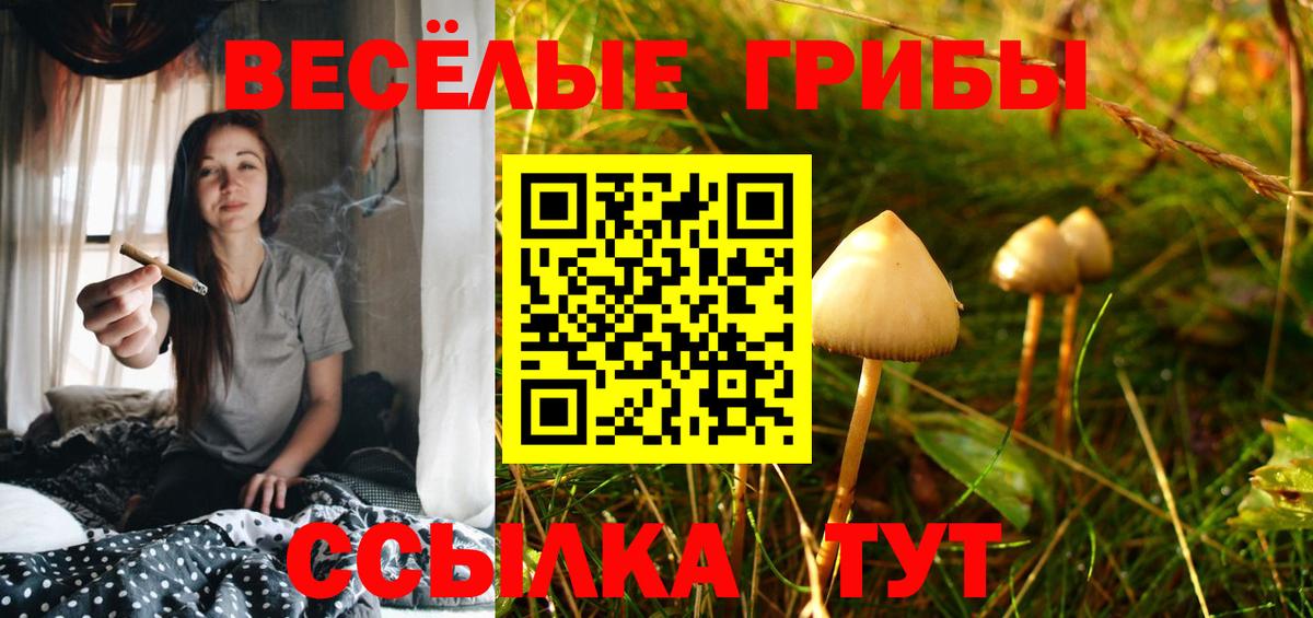 Кострома  Псилоцибиновые грибы Magic Shrooms  Псилоцибиновые грибы Psilocybine cubensis  Вход с VPN 